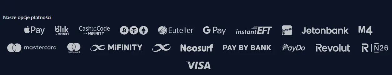 Płatności Bison Casino